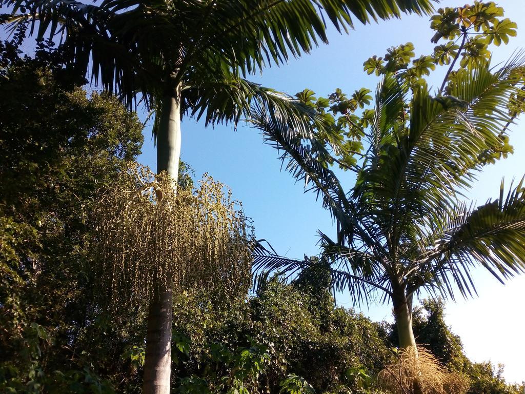 Studio Formana Florianópolis 外观 照片
