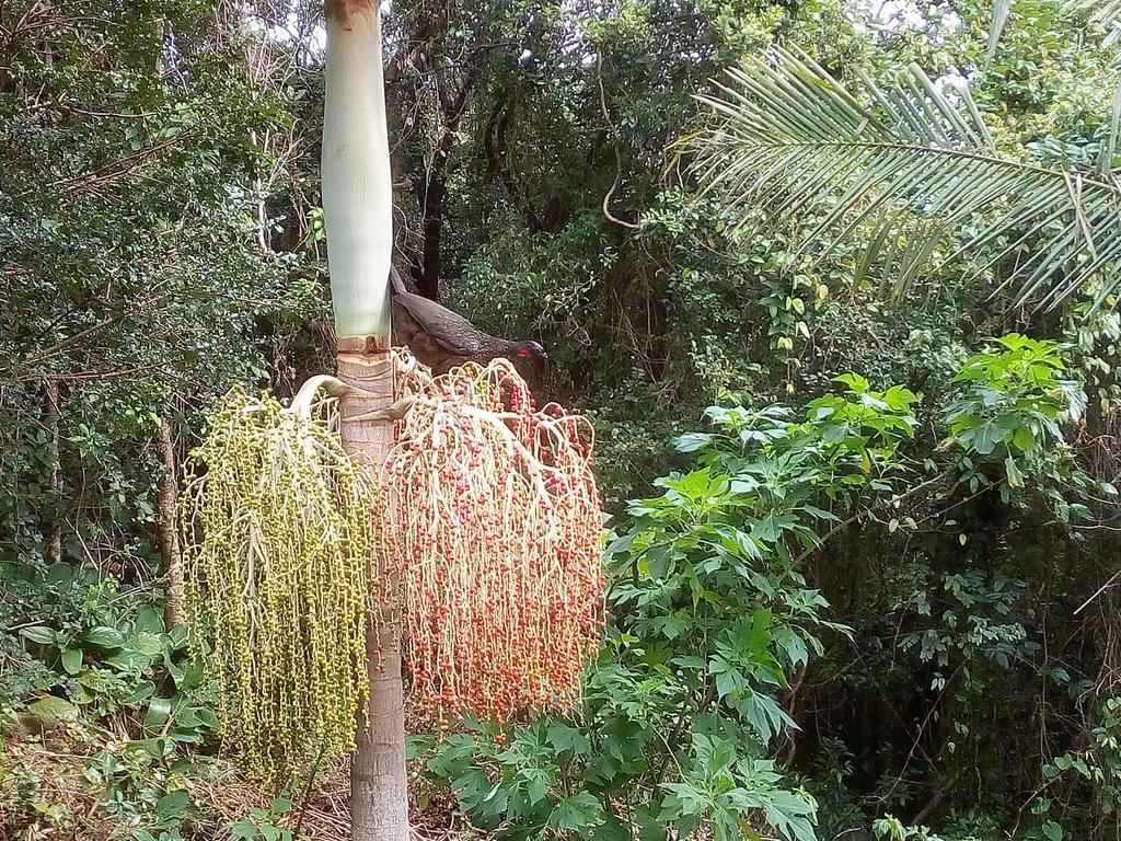 Studio Formana Florianópolis 外观 照片