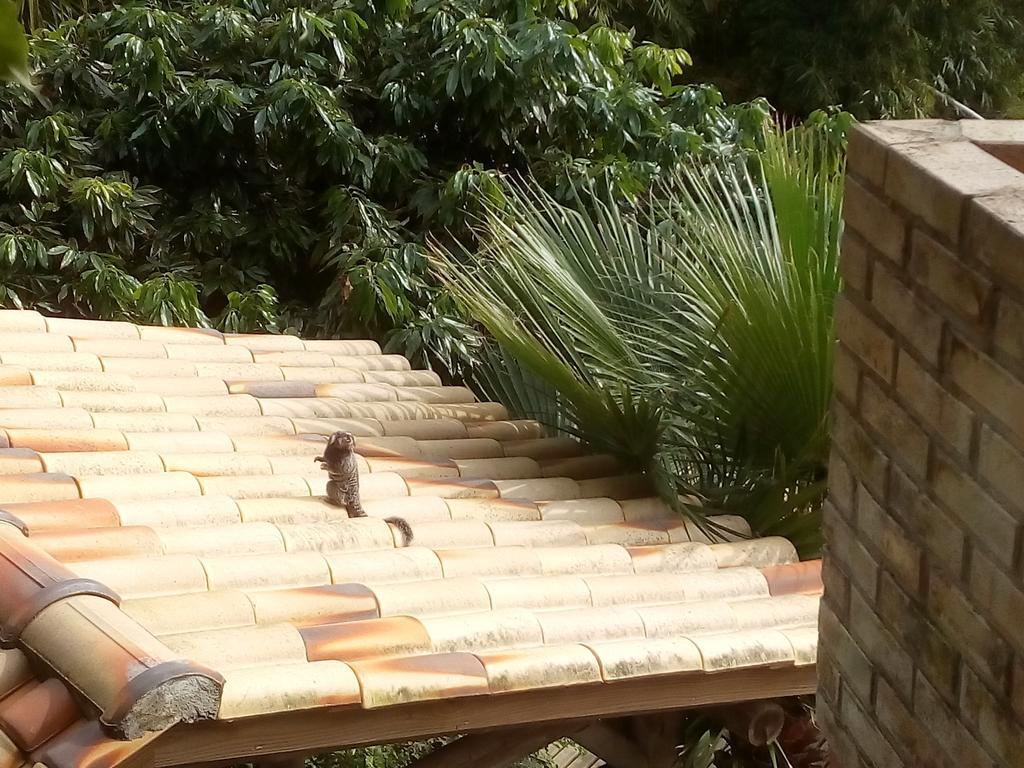 Studio Formana Florianópolis 外观 照片